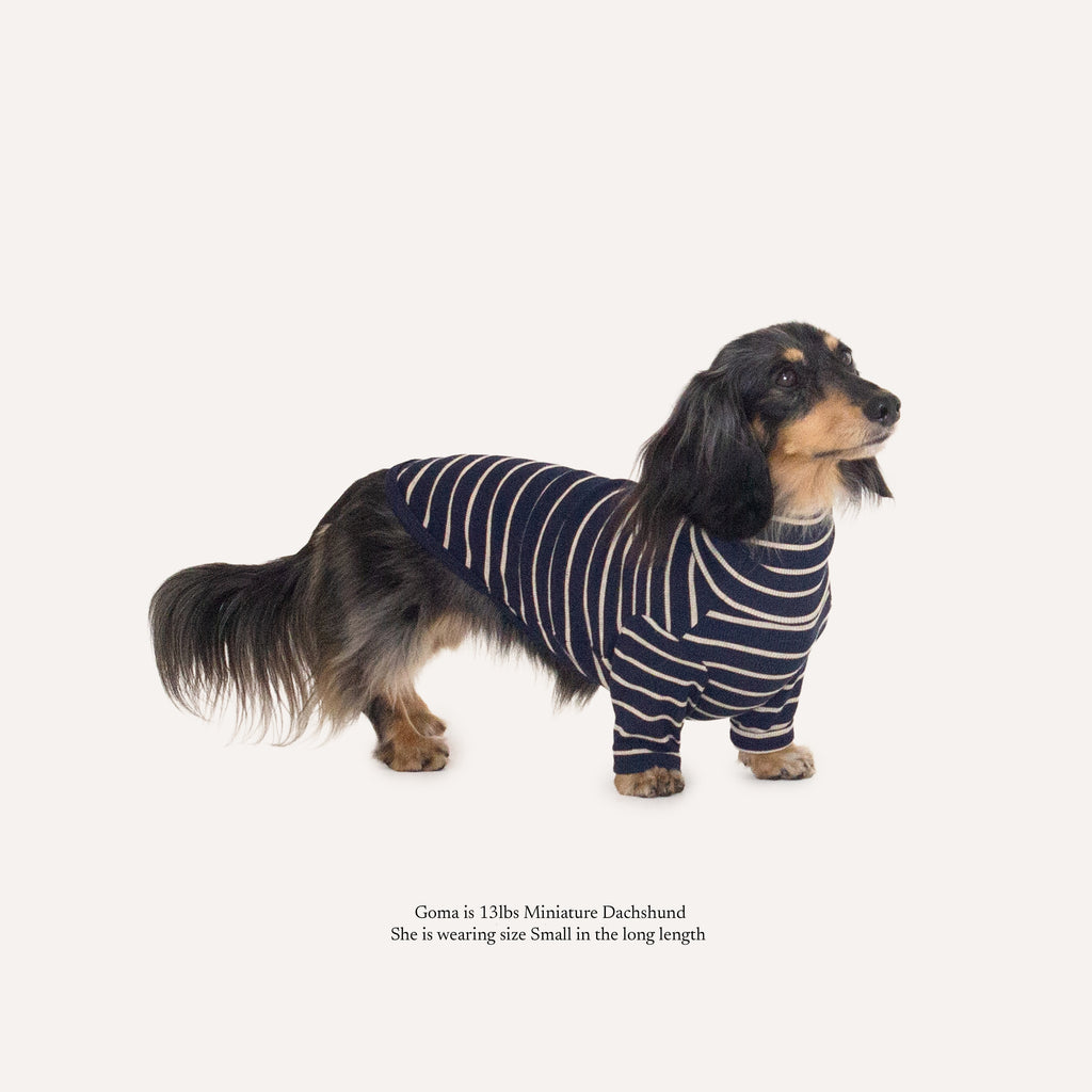Dal Stripe Turtle Shirt