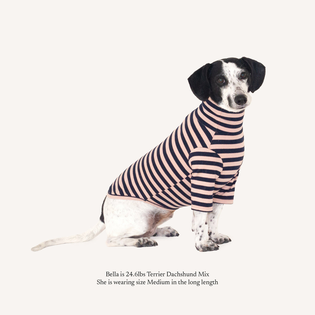 Parker Stripe Turtle Shirt
