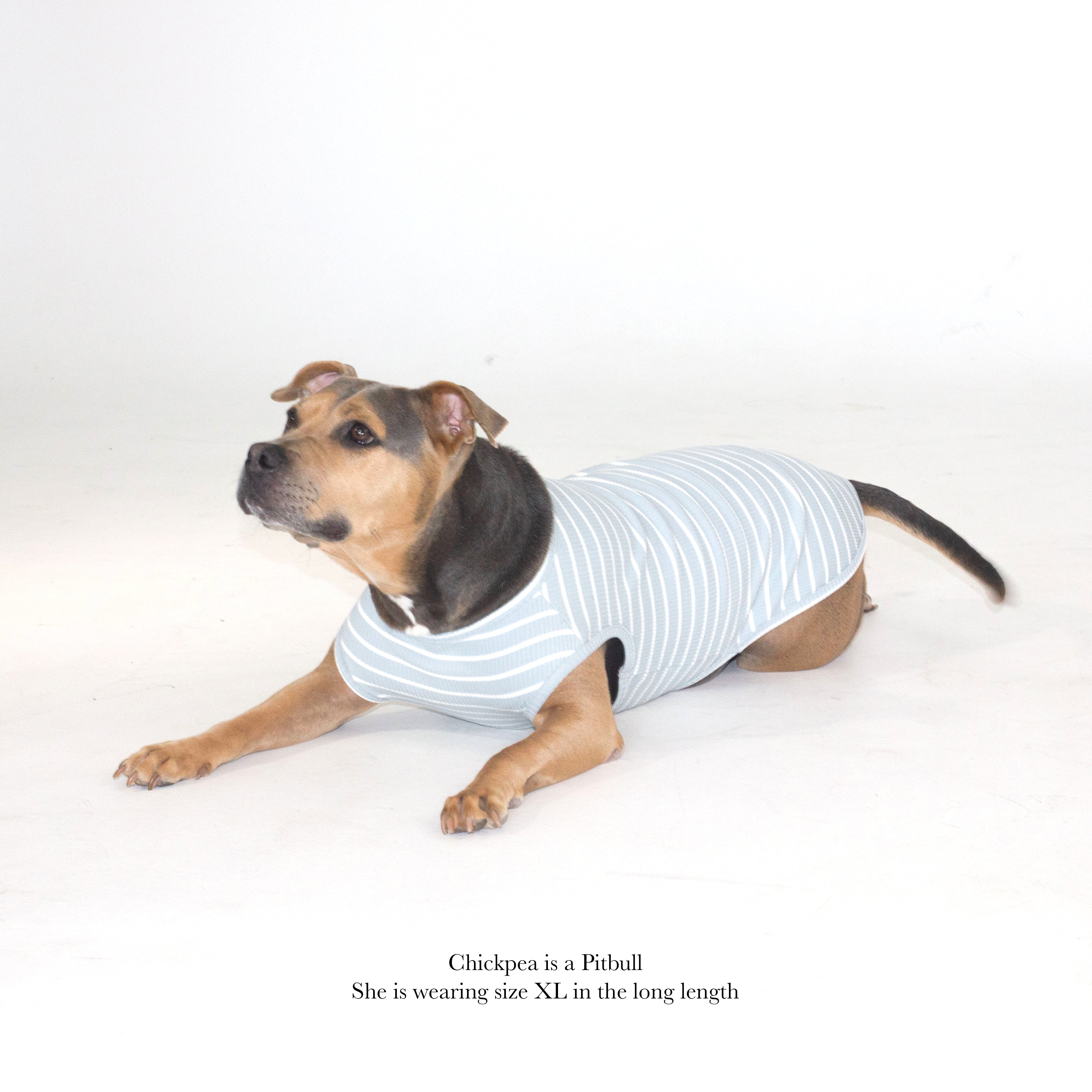 River Blue Stripe Tank