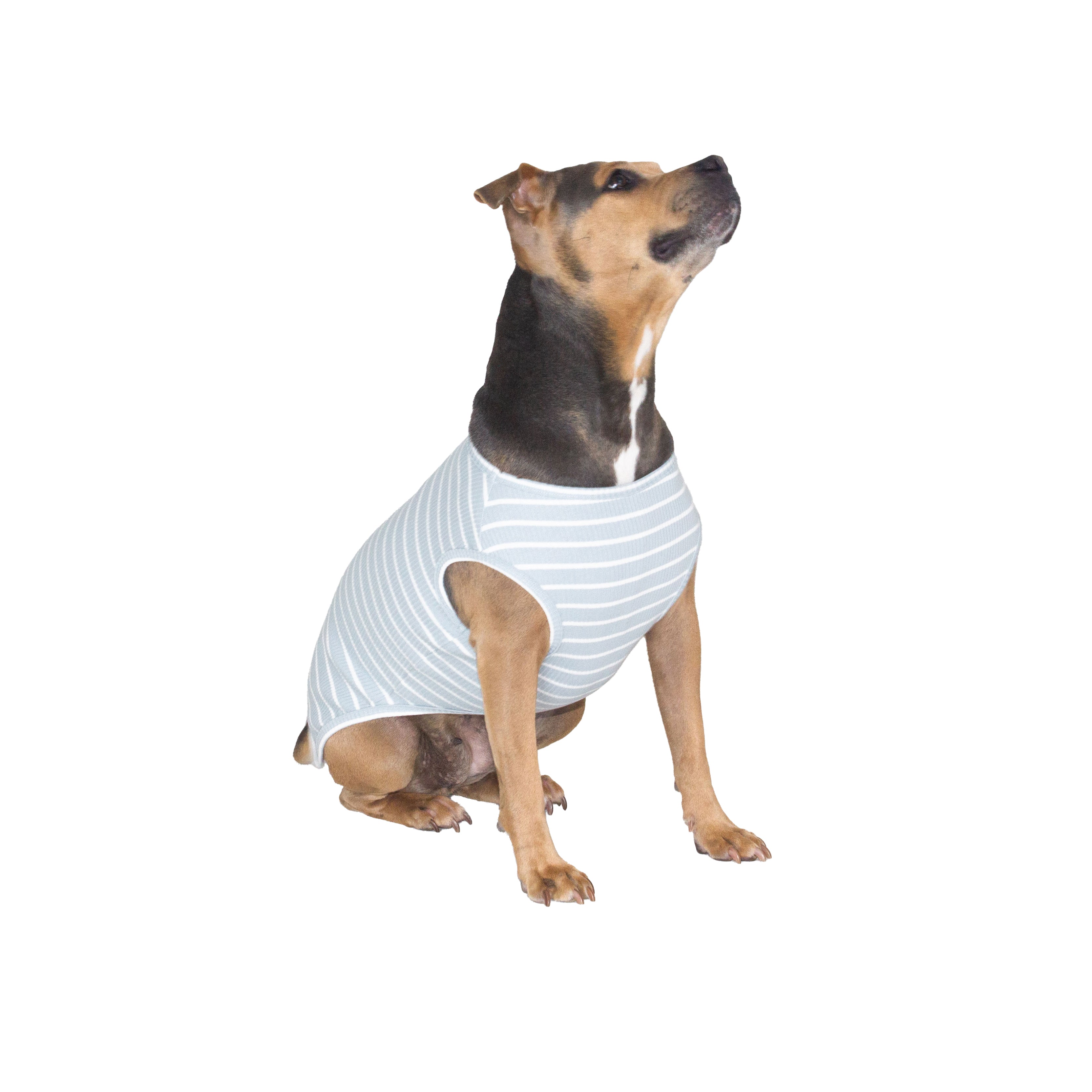 River Blue Stripe Tank