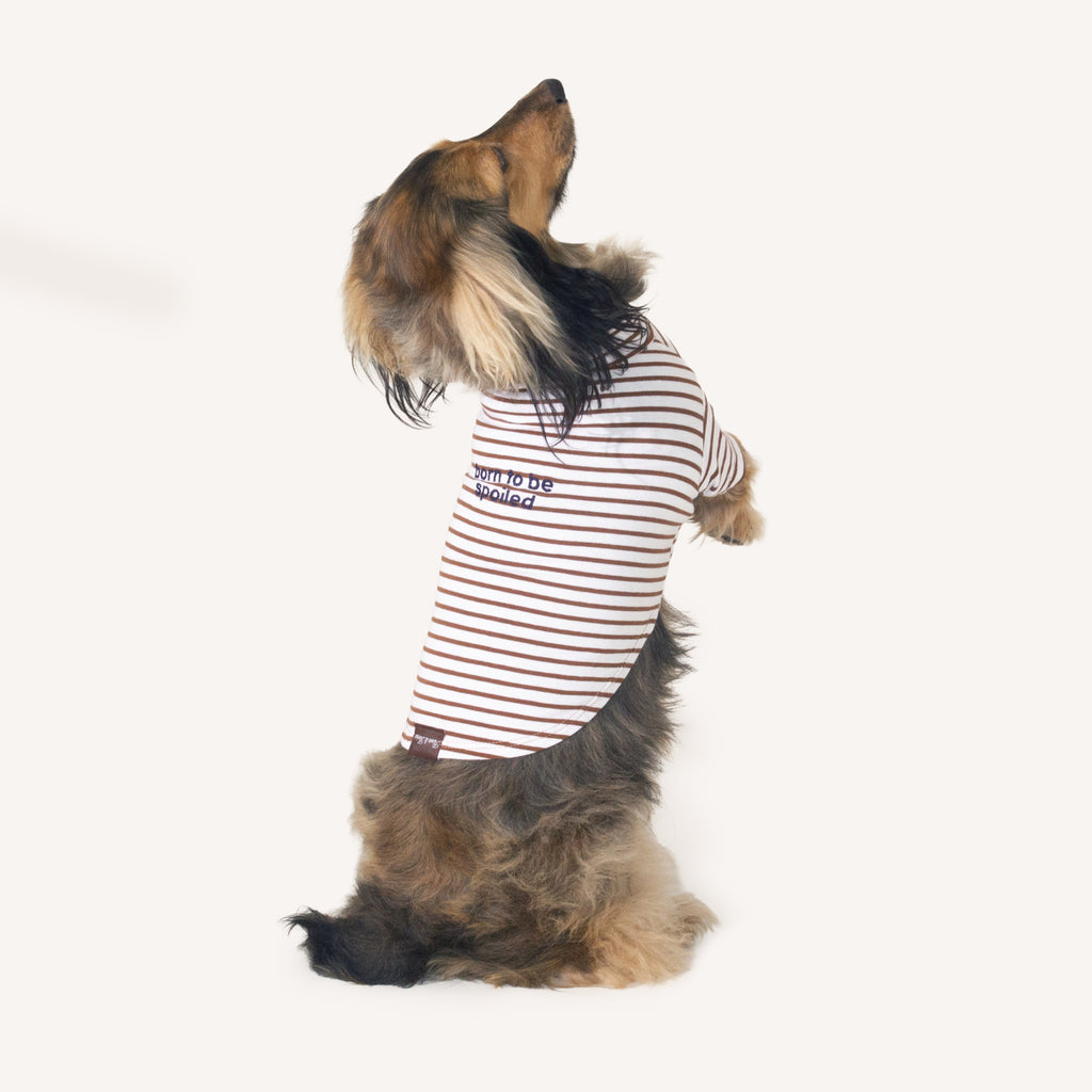 Born To Be Spoiled Stripe Shirt