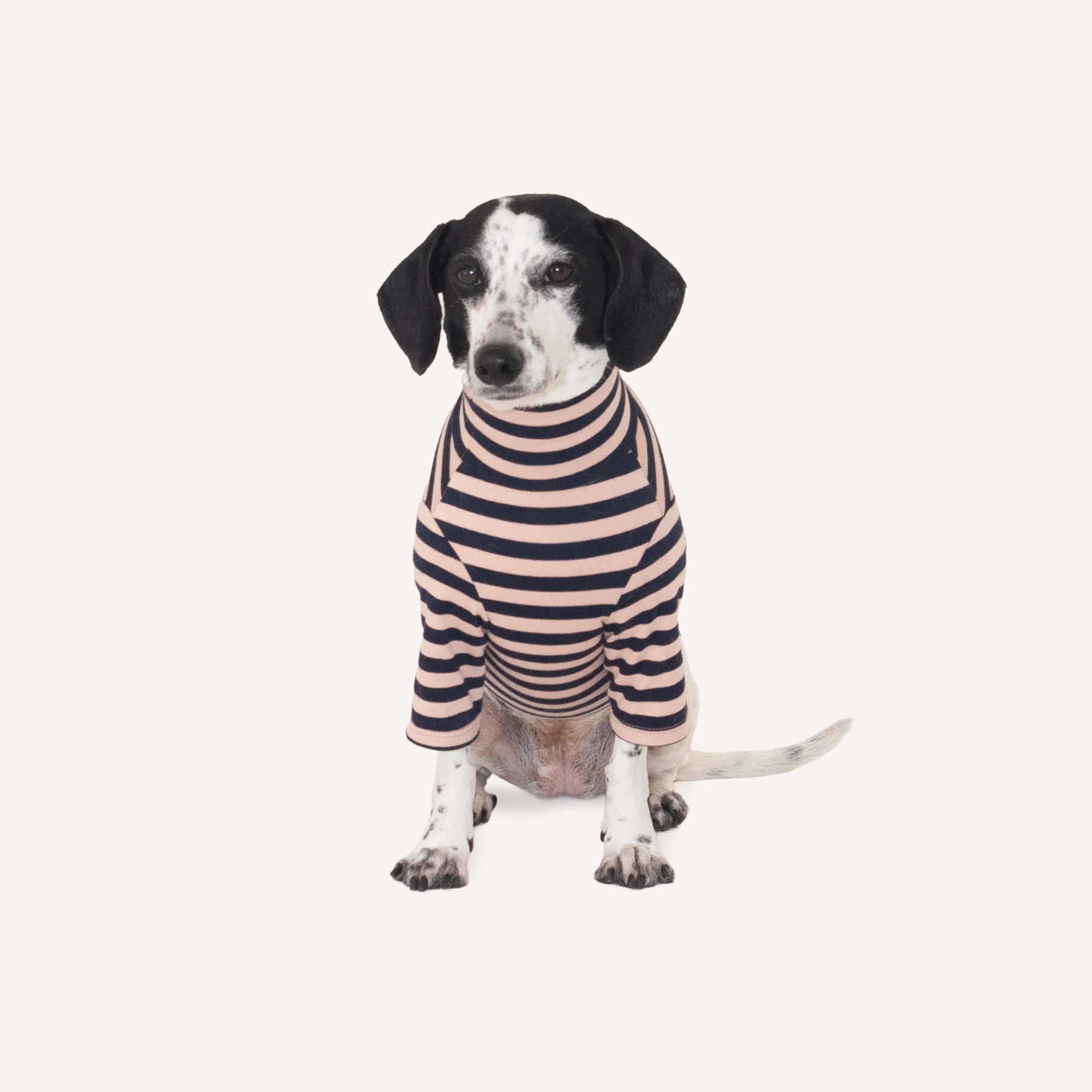 Parker Stripe Turtle Shirt