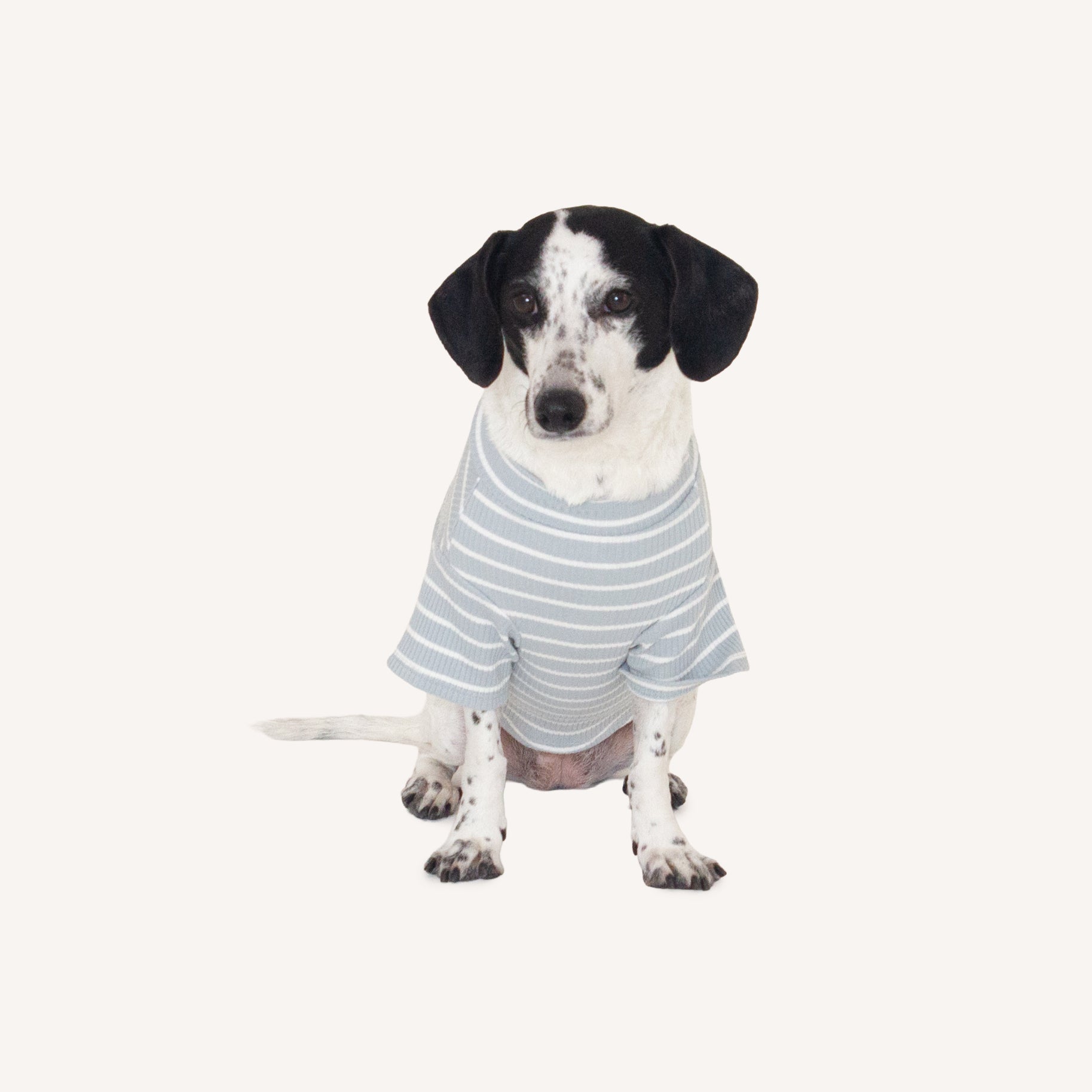 River Blue Stripe Shirt