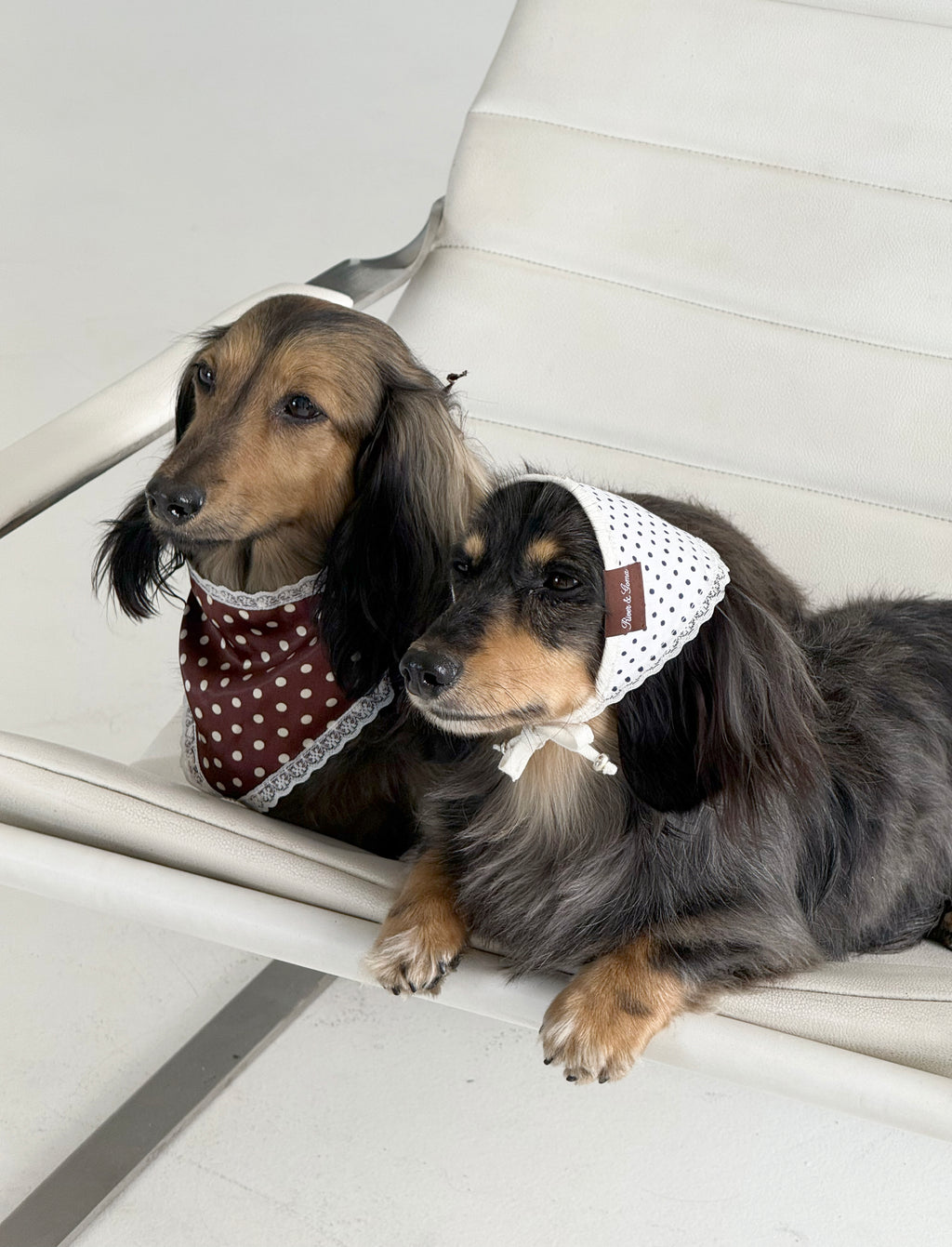 Lottie Brown Bandana