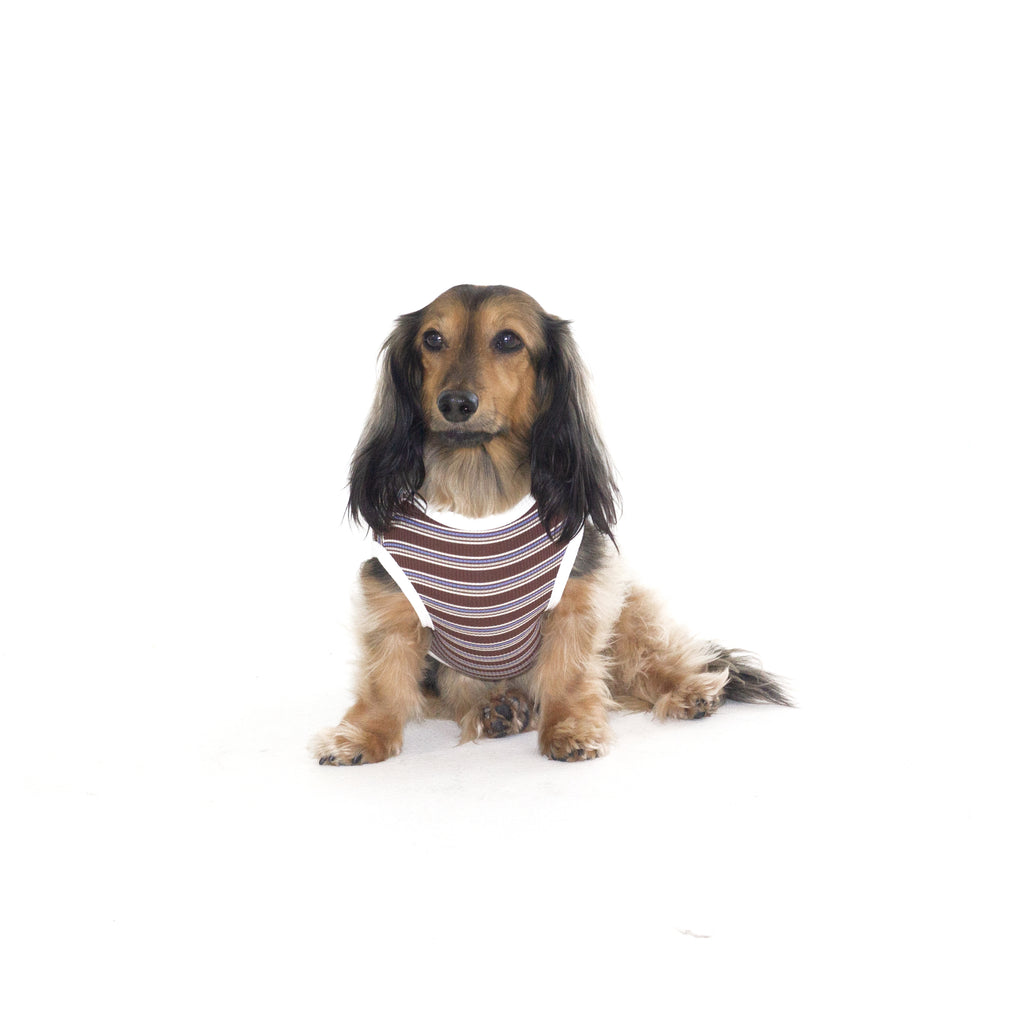 Gosari Stripe Tank