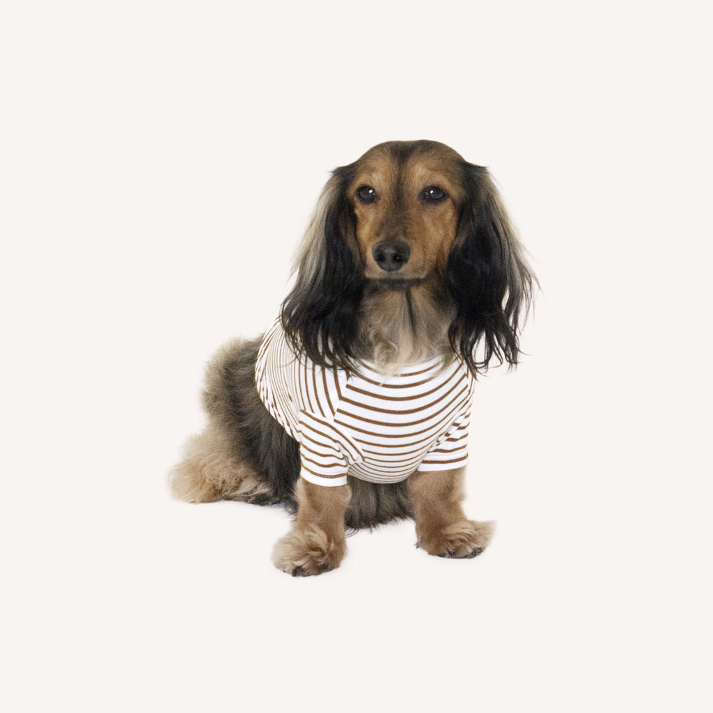 Born To Be Spoiled Stripe Shirt