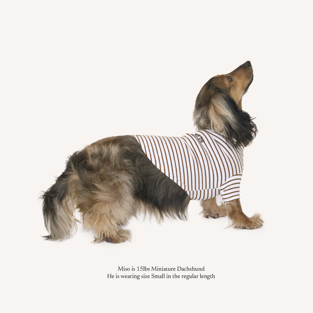 Born To Be Spoiled Stripe Shirt