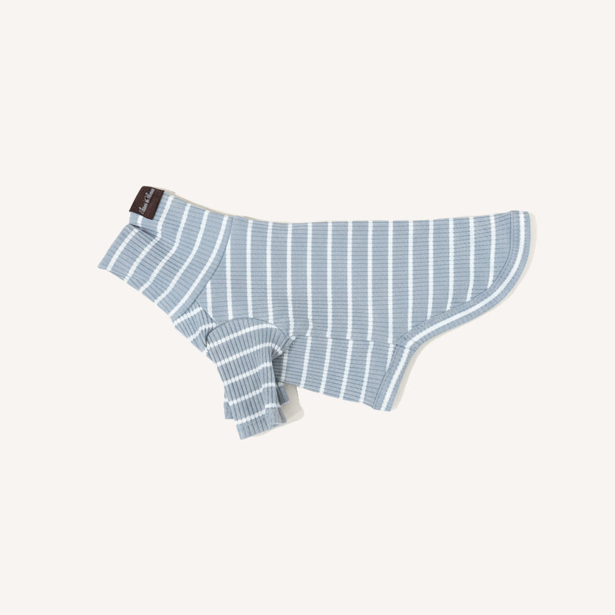 River Blue Stripe Turtle Shirt