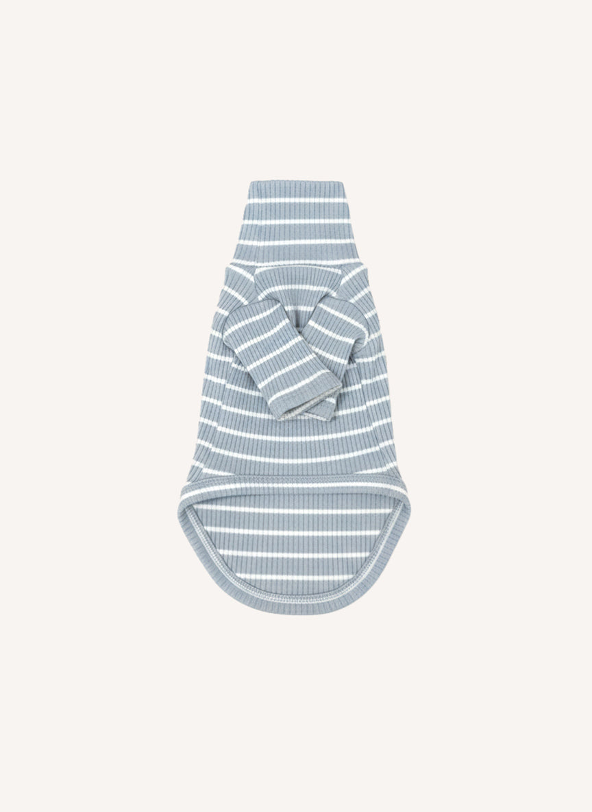River Blue Stripe Turtle Shirt