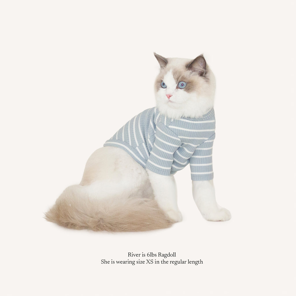 River Blue Stripe Turtle Shirt