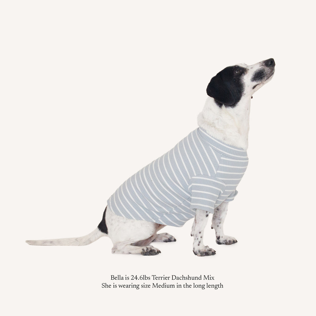 River Blue Stripe Shirt